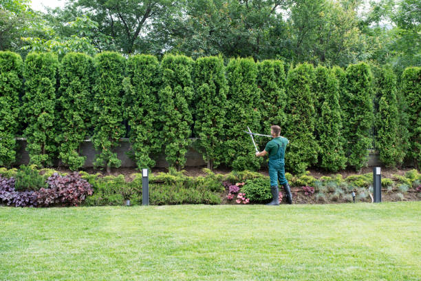 Best Lawn Watering Services  in Fallston, MD