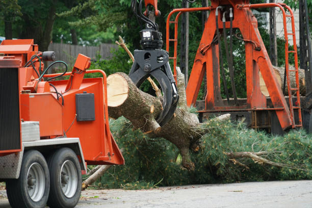 Best Lawn Grading and Leveling  in Fallston, MD